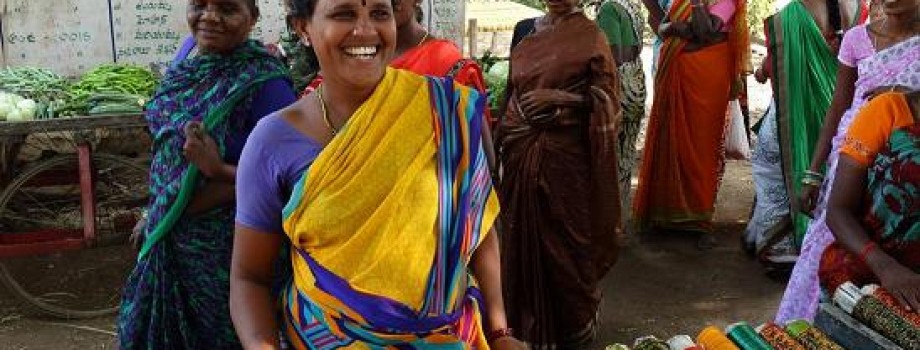 Micro Enterprises Programme to Reduce Poverty among 40 Rural Impoverished  Dalit Women